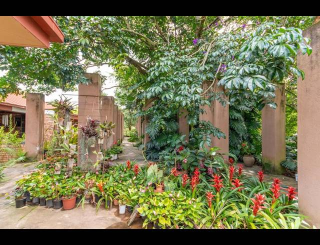 BUSINESS FOR SALE IN WHITE RIVER EXT 5